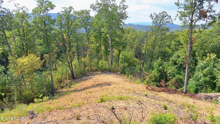 Property Photo: Lot 7R1 E Kings Ridge Rd TN 37738