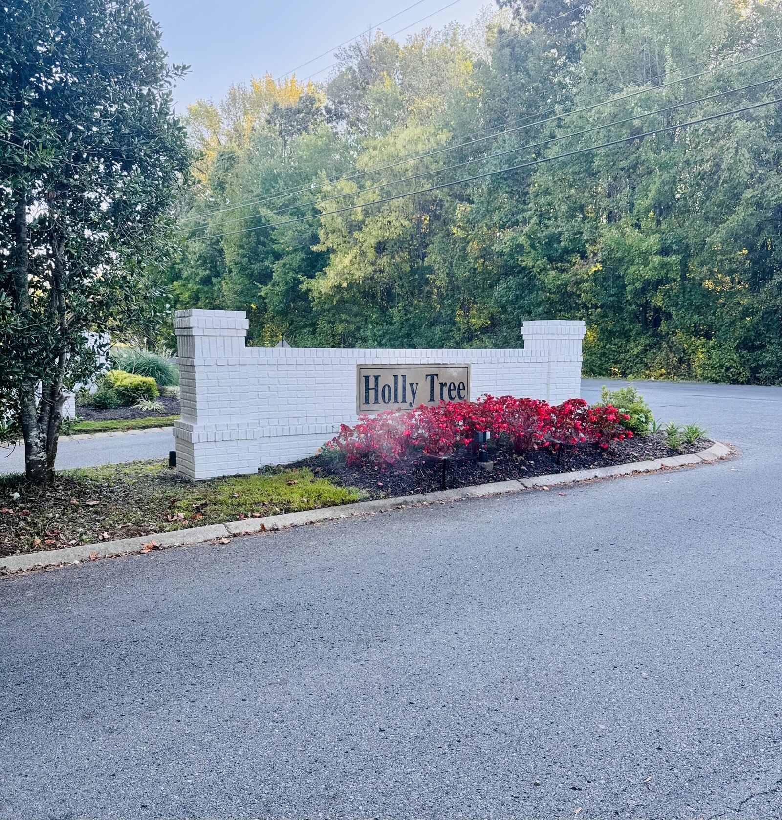 Property Photo:  221 Foster Dr  TN 37188