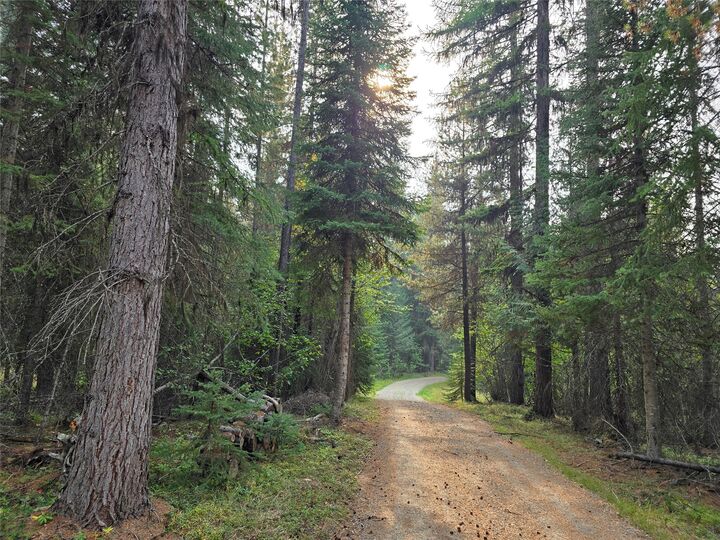 Property Photo:  30467 S Fork Yaak Road  MT 59935 