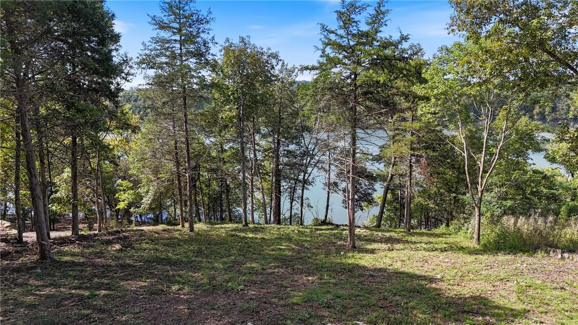 Property Photo:  White River Cove  AR 72631 