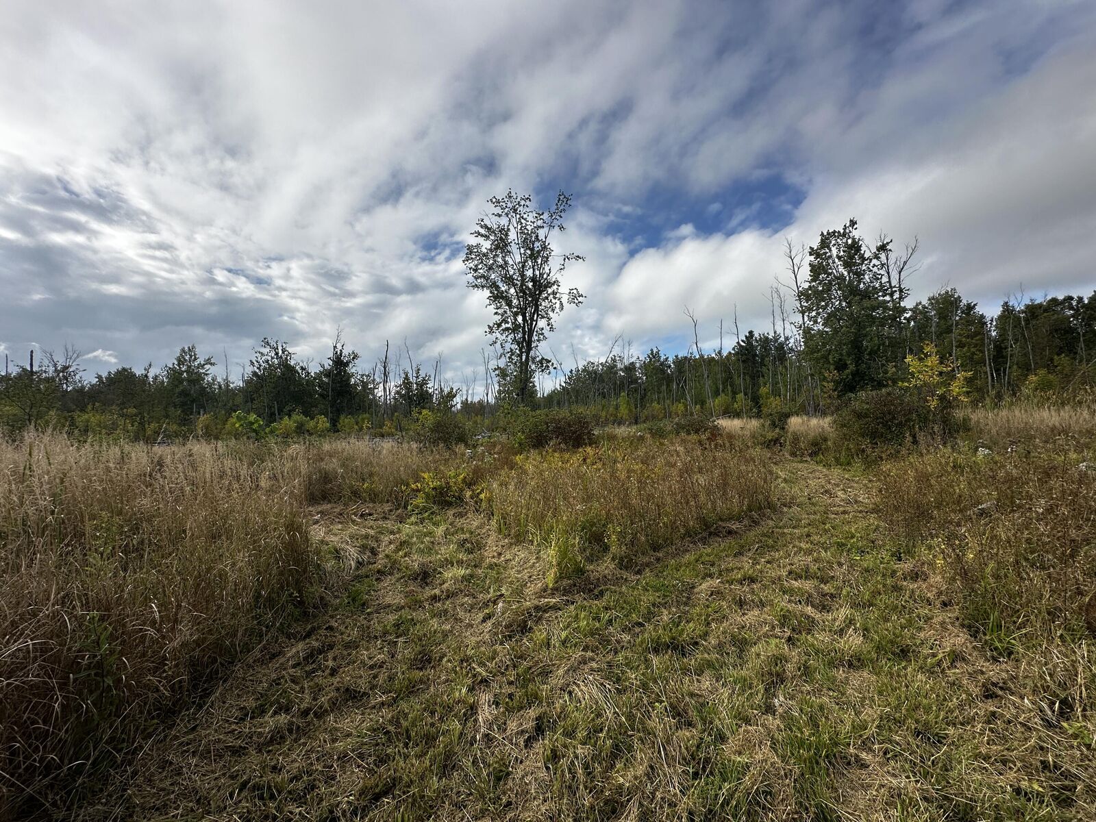 Property Photo: 8152 US-23 North MI 49707