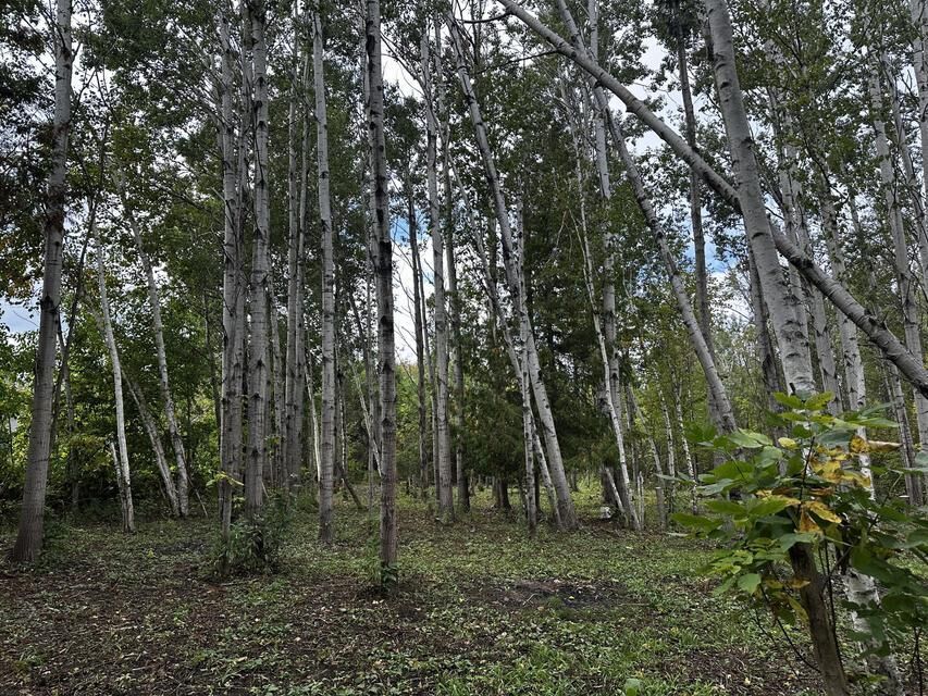 Property Photo:  8265 Gutchess Road  MI 49707 
