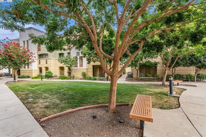 Property Photo:  4720 Norris Canyon Rd 205  CA 94583 