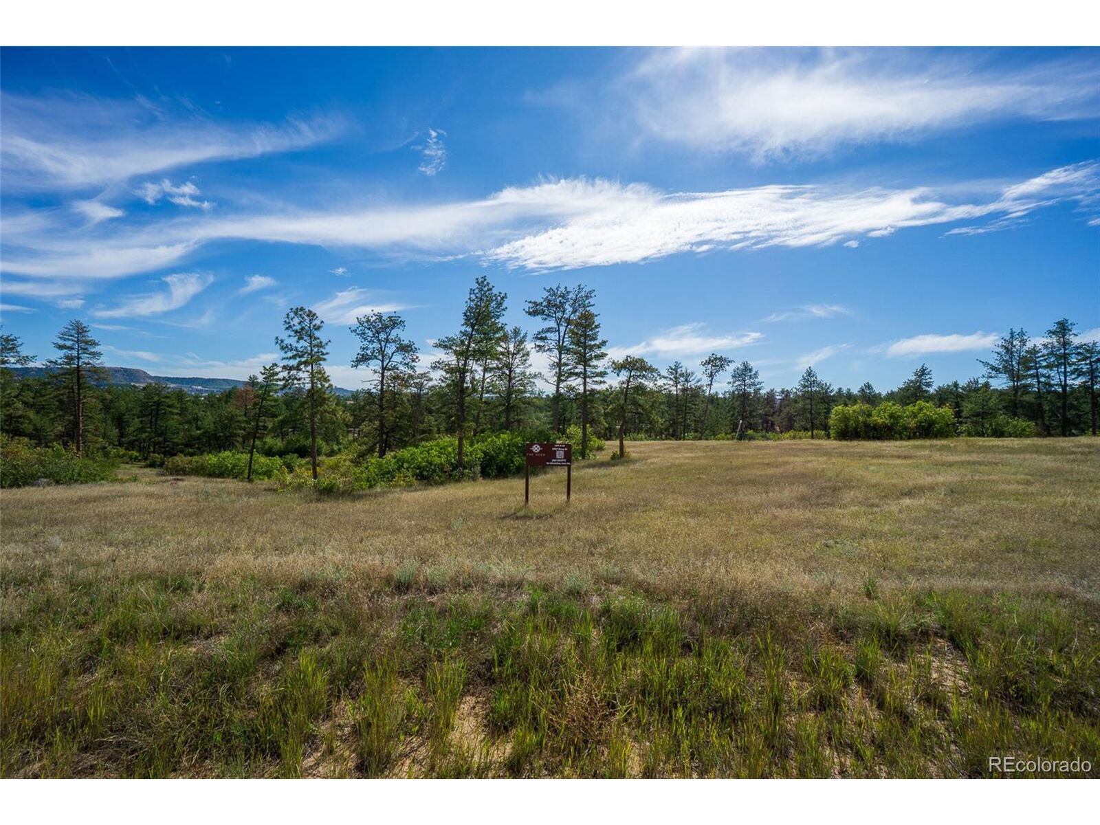 Property Photo:  2367 Keep Dr  CO 80135 