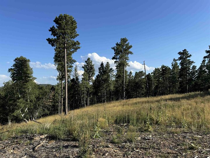Lot 21 Overlook Court  Lead SD 57754 photo