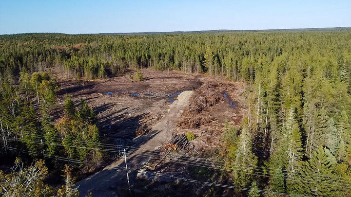 Property Photo: Map 06 Lots #16,16-2,16-3 Cutler Road ME 04626