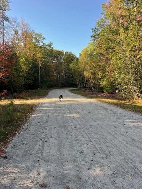 Property Photo:  Lot 22 Taylor Woods Road  ME 04217 
