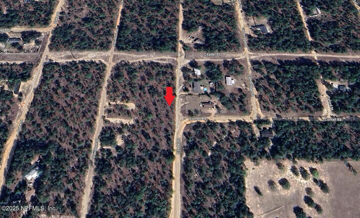 Property Photo:  7248 Citadel Street  FL 32656 