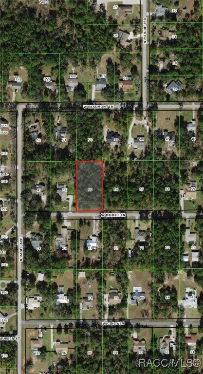 Property Photo: 2251 W Middle Lane FL 34461
