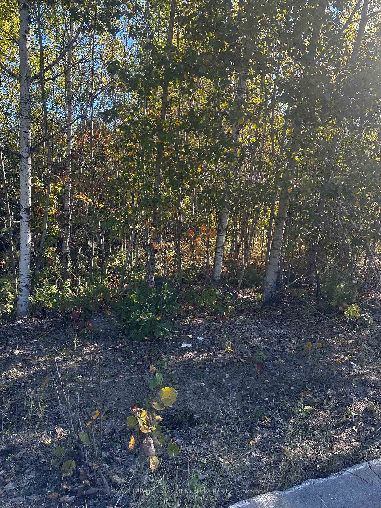 Property Photo:  23 Freeland Drive  ON P1P 1Z6 