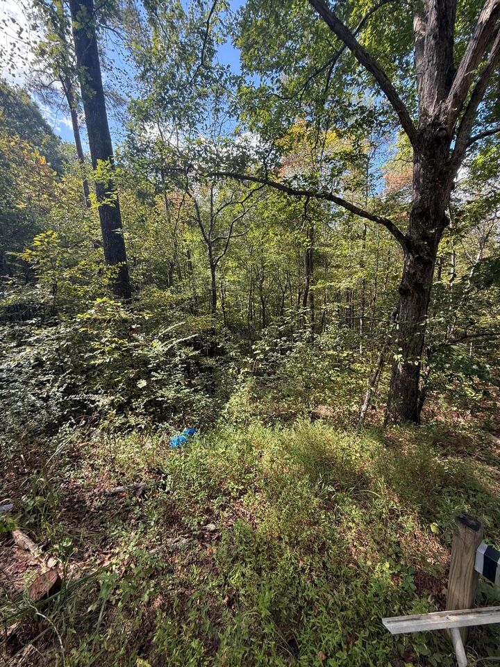 Property Photo: County Rd 3730 AL 35540