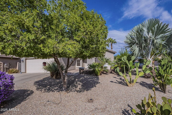 Property Photo:  2762 E Pinto Valley Road  AZ 85143 