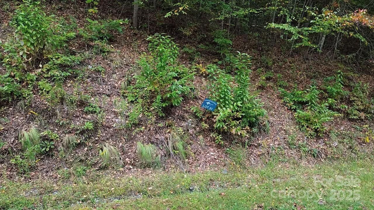 Property Photo: 31 Waterdance Drive NC 28723