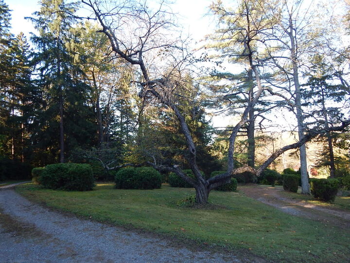 Property Photo: 1452 Bucktail Rd PA 15857