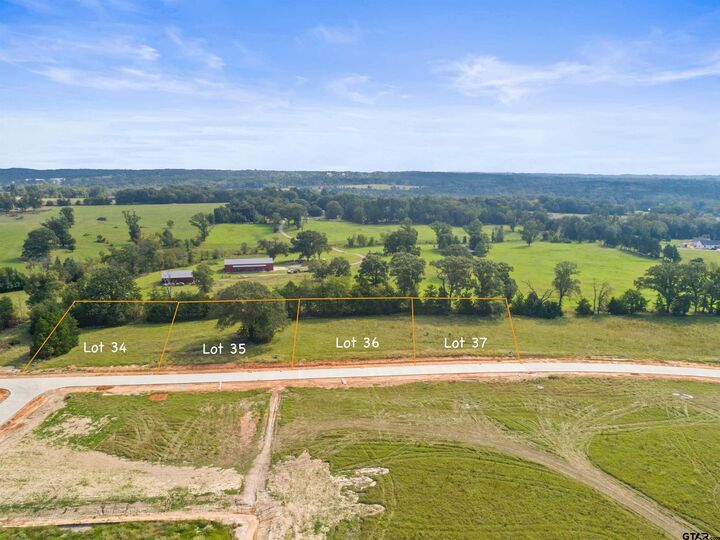 13842 Cedar Hill Lane  Tyler TX 75704 photo