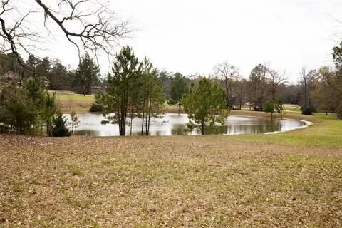 Property Photo:  135 N Forest Drive  TX 77340