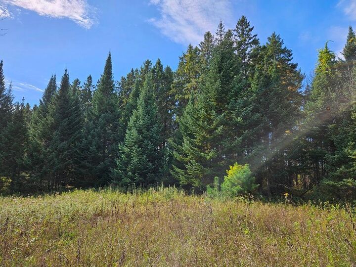 Property Photo:  Lt 3 Blk 1 County Rd 238  MN 56636 