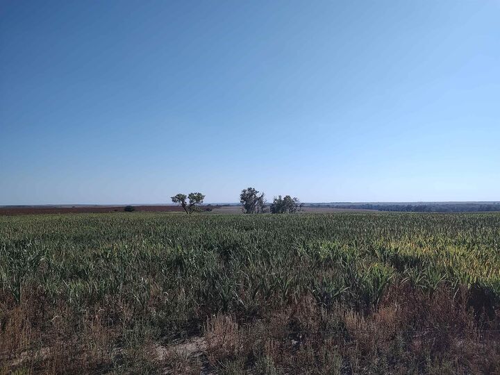 Property Photo:  00000 E Wheat Dr.  KS 67481 