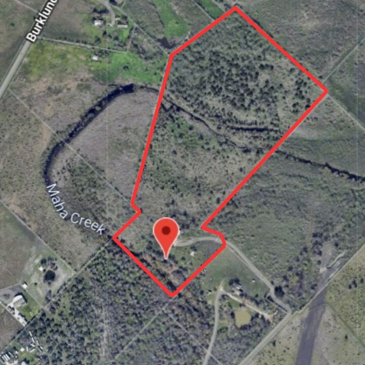 13802 Hokanson Road  Del Valle TX 78617 photo