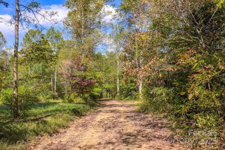 Property Photo: 170 Midnight Sun Lane NC 28762