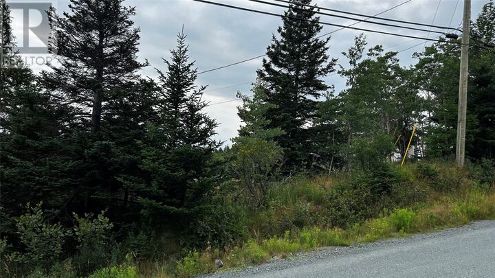 Property Photo:  177 Bauline Line  NL A1K 1H6 