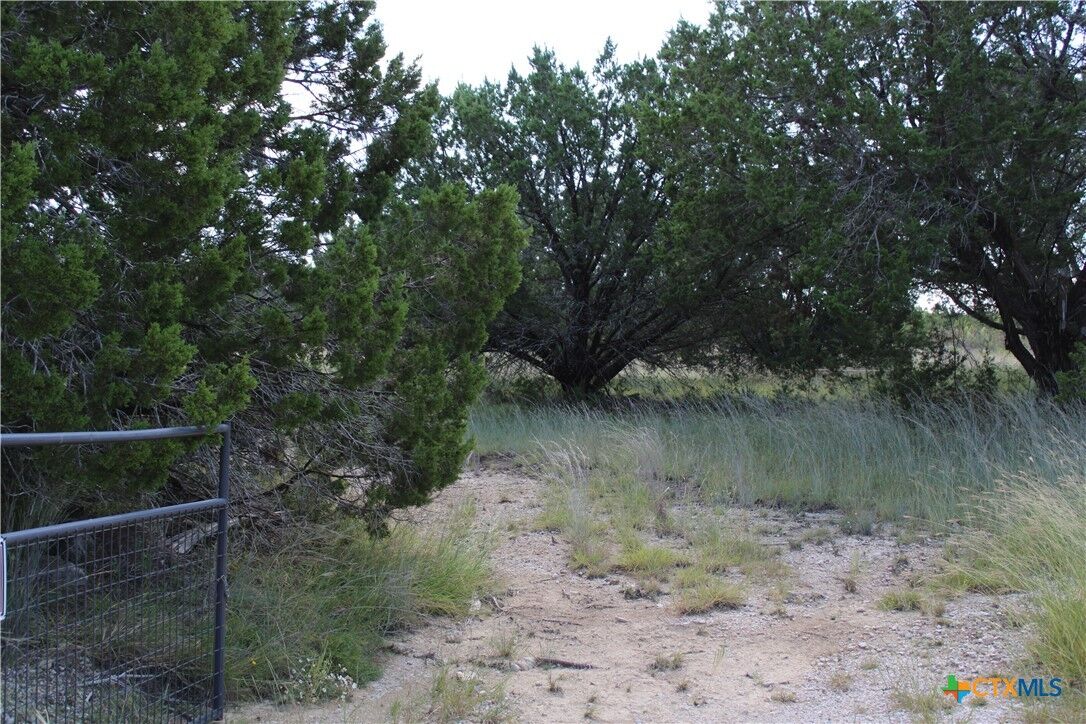 Property Photo:  114 Shell Mountain Drive  TX 76528 