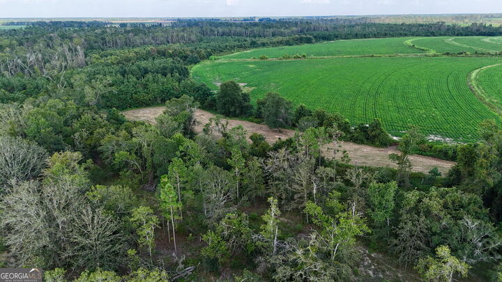 Property Photo: 0 Rhonda Coleman Road GA 31539