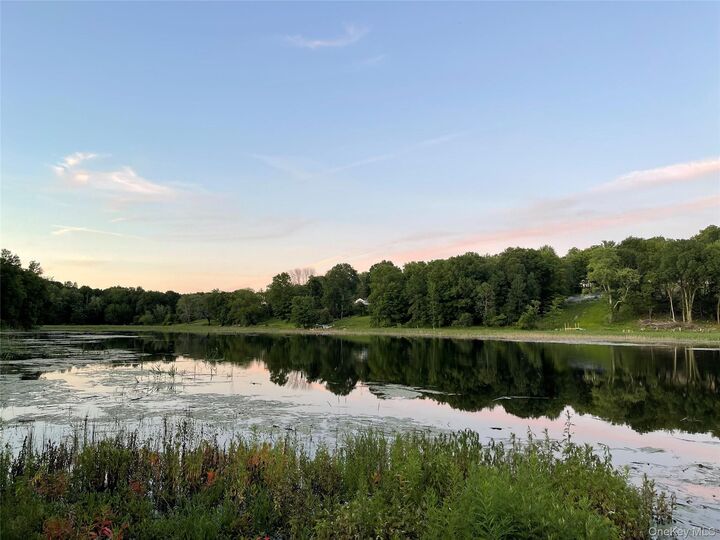 Property Photo:  257 Lake Road  NY 12577 
