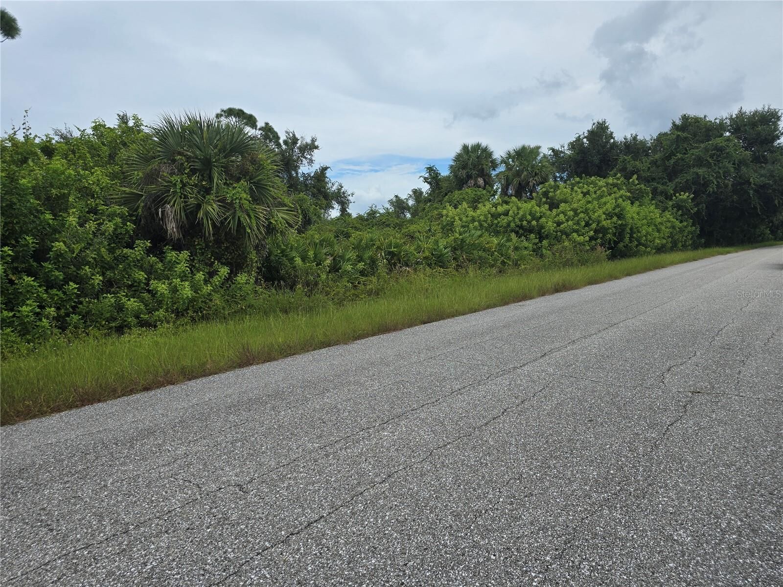 Property Photo: 13381 Amaryllis Circle FL 33981