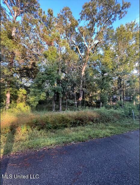 Property Photo:  0 Dorothy Street  MS 39564 