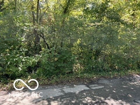 2954 Sapphire Boulevard  Indianapolis IN 46268 photo