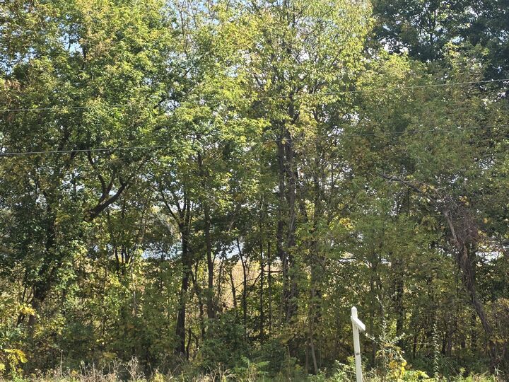 Property Photo: Hankerd Rd MI 49272
