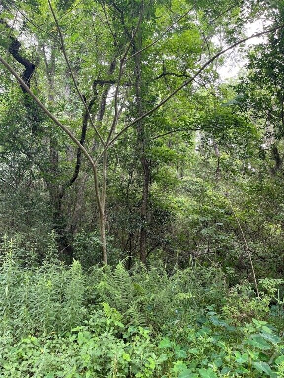 Property Photo: 0 Pickens Street GA 31405