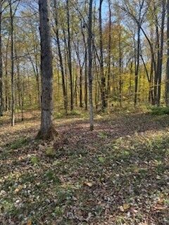 Property Photo:  2728 28 3/8 Street  WI 54817 