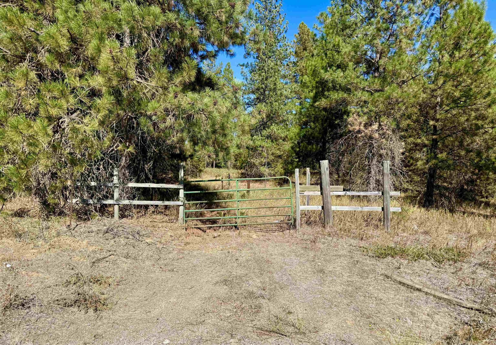 Property Photo:  3961 231 Hwy  WA 99173 