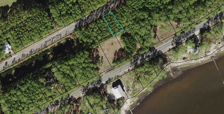 Property Photo:  164 Royal Tern Way  FL 32322 
