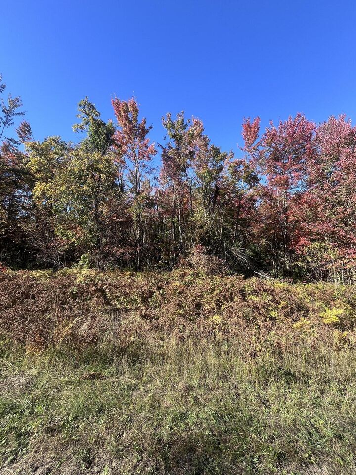 Lot 471 Northgate Drive  Elmira MI 49730 photo
