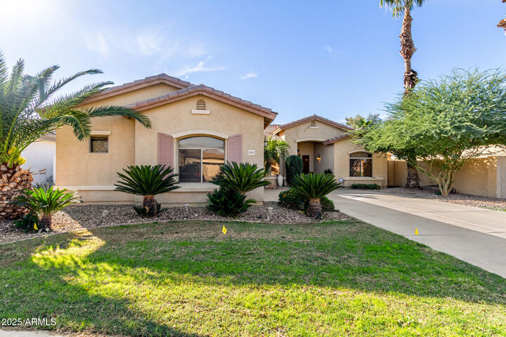 Property Photo: 21151 E Stirrup Street AZ 85142