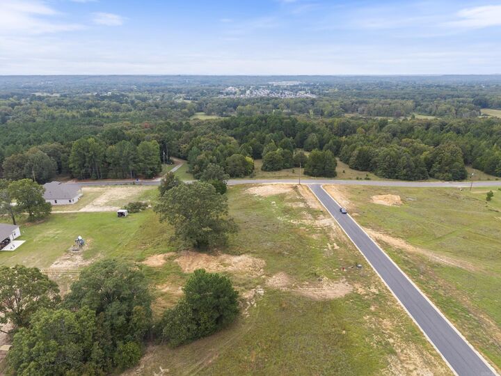 2 Bella View Drive  Greenbrier AR 72058 photo