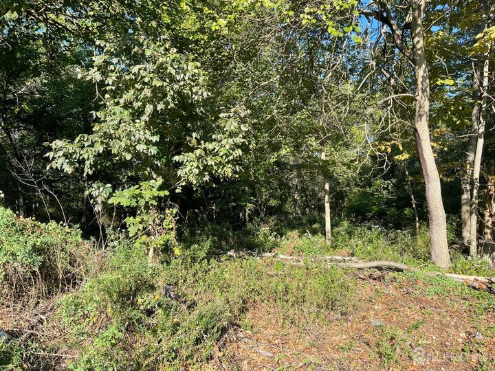 Property Photo:  76 Woodland Road  NJ 08854 