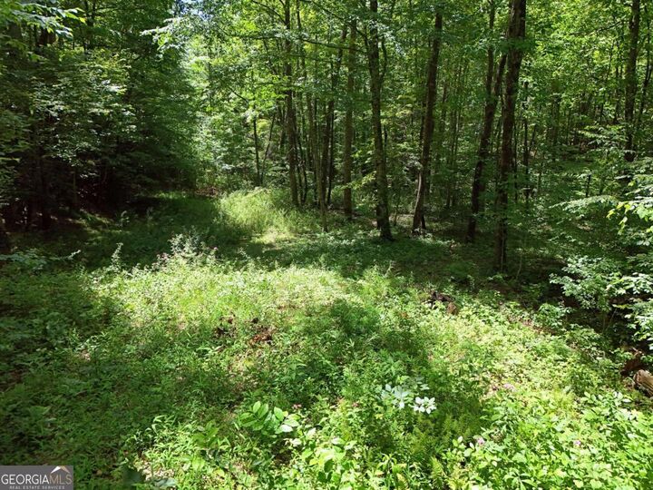 Property Photo:  Lt15/15A Hightower Ridge 15/15A  GA 30546