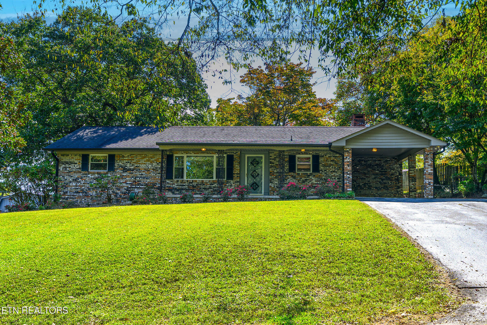 Property Photo: 219 Woodland Drive TN 37763