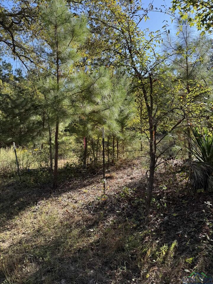 Property Photo: Tbd Fm 2796 TX 75644