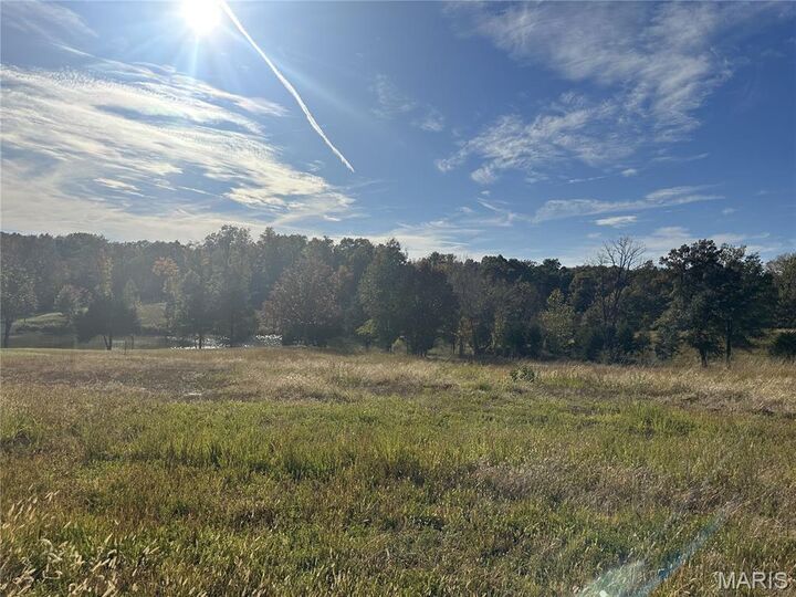 Property Photo:  286 Old Wagon Trail  MO 63755 