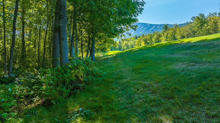 Property Photo:  6094 Village On The Green Road  ME 04947 