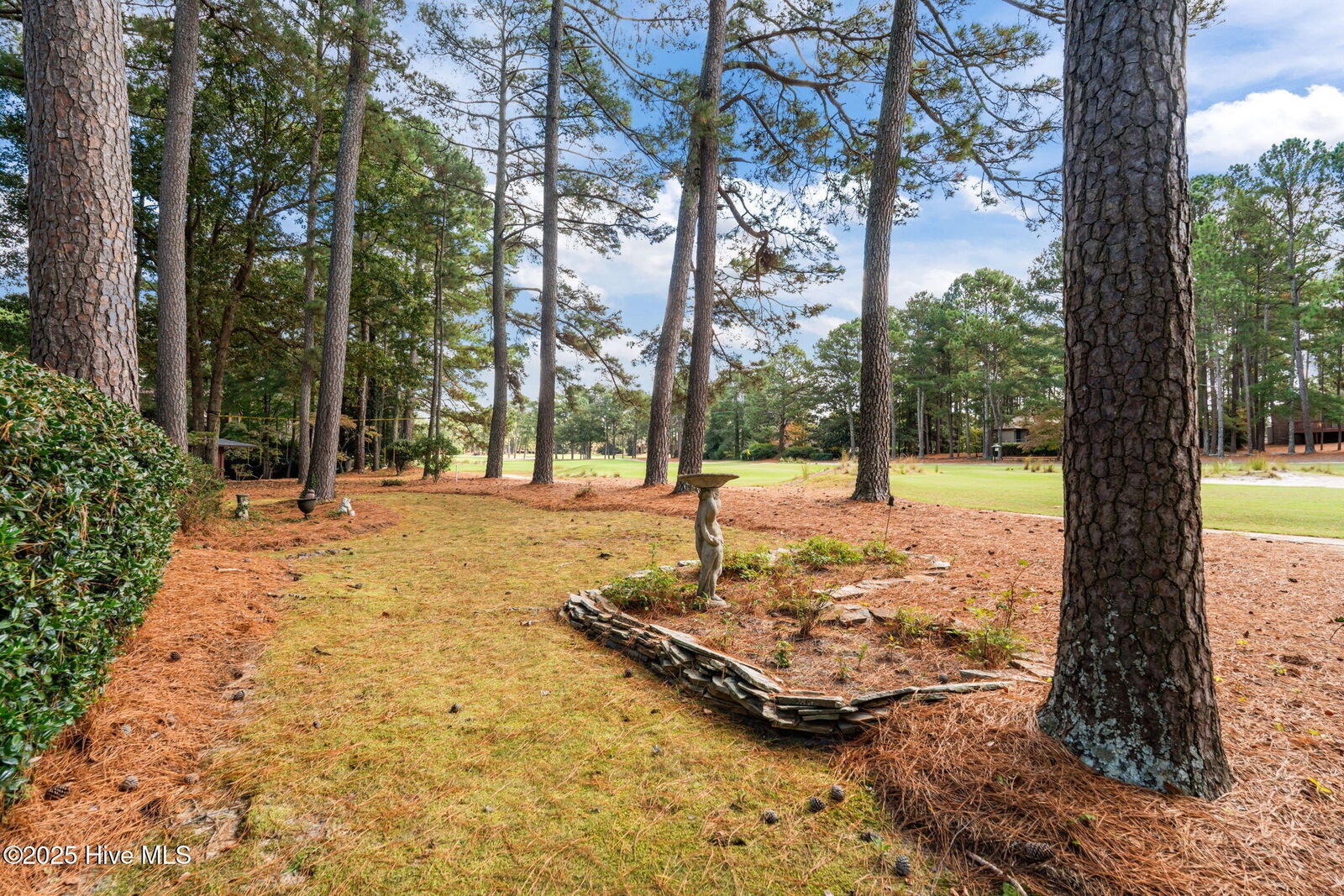 Property Photo: 4 Inverness Place NC 28374