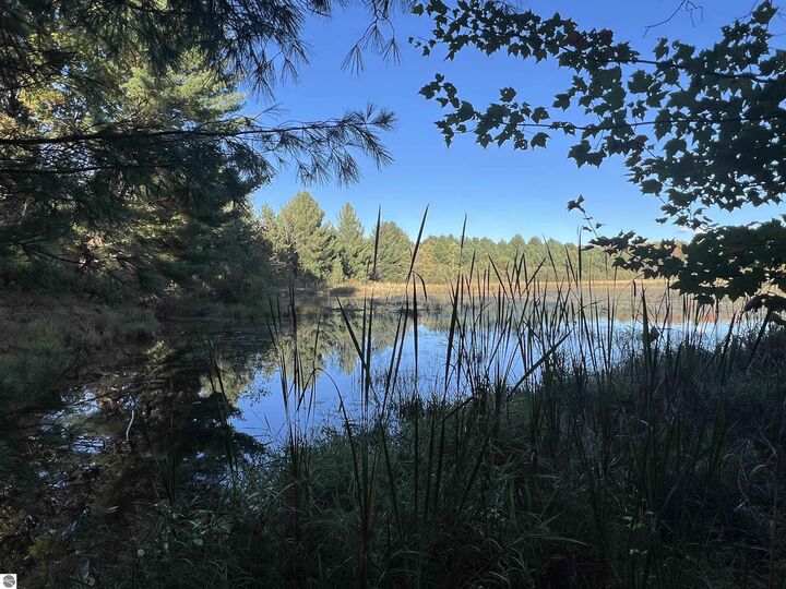 7556 210th Avenue  Reed City MI 49677 photo