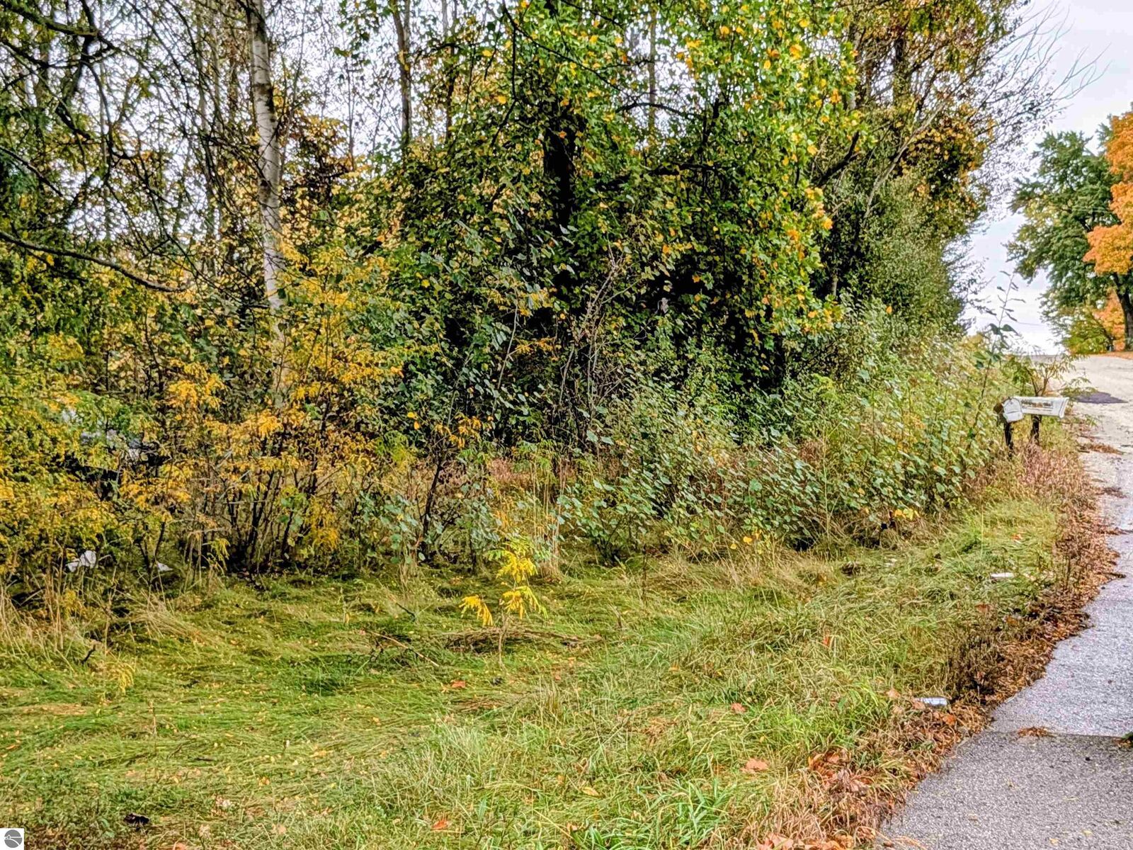 Property Photo:  2495 W Blanchard Road  MI 48858 