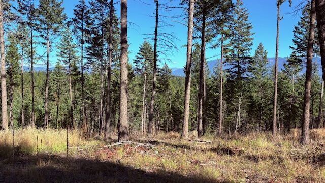 Property Photo:  Nhn Soaring Eagle Drive  MT 59937 