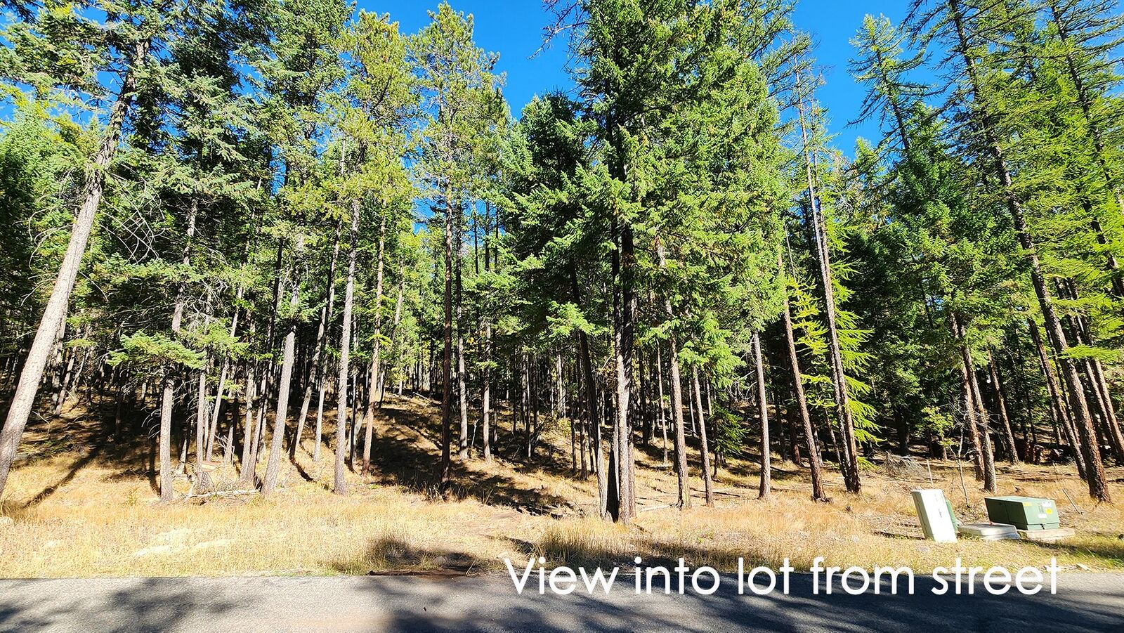 Property Photo: 122 Kinnikinnik Circle MT 59937